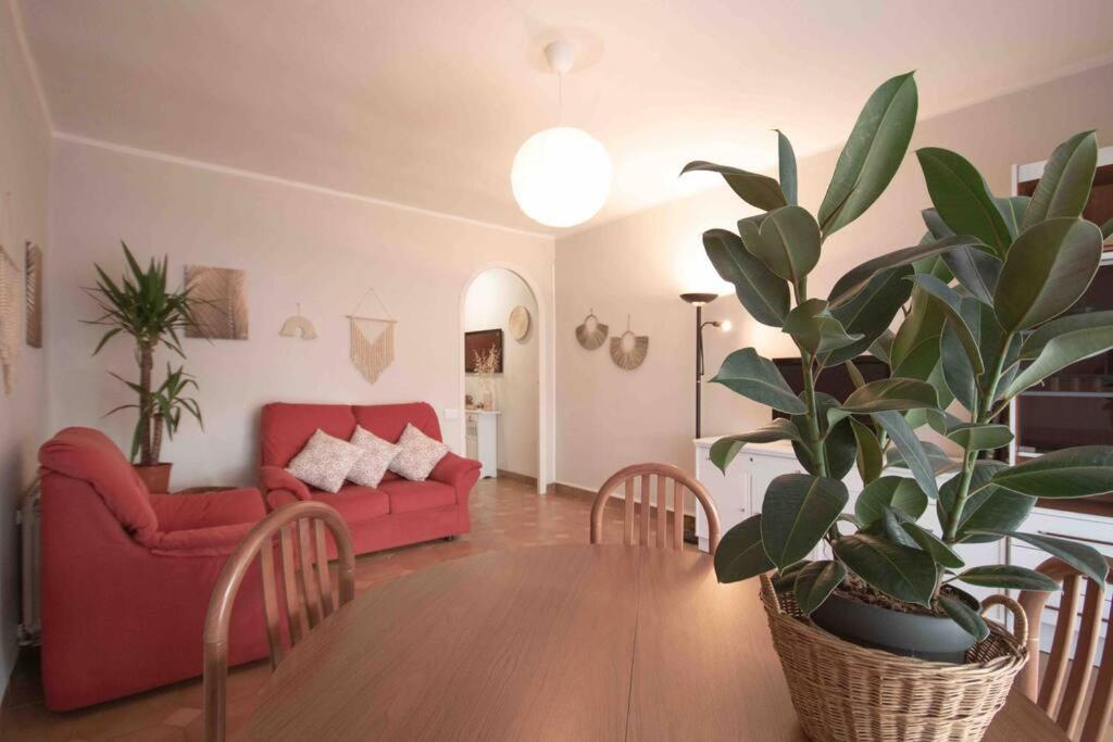 Lc Apartaments Av Del Mar Castellon de la Plana Bagian luar foto